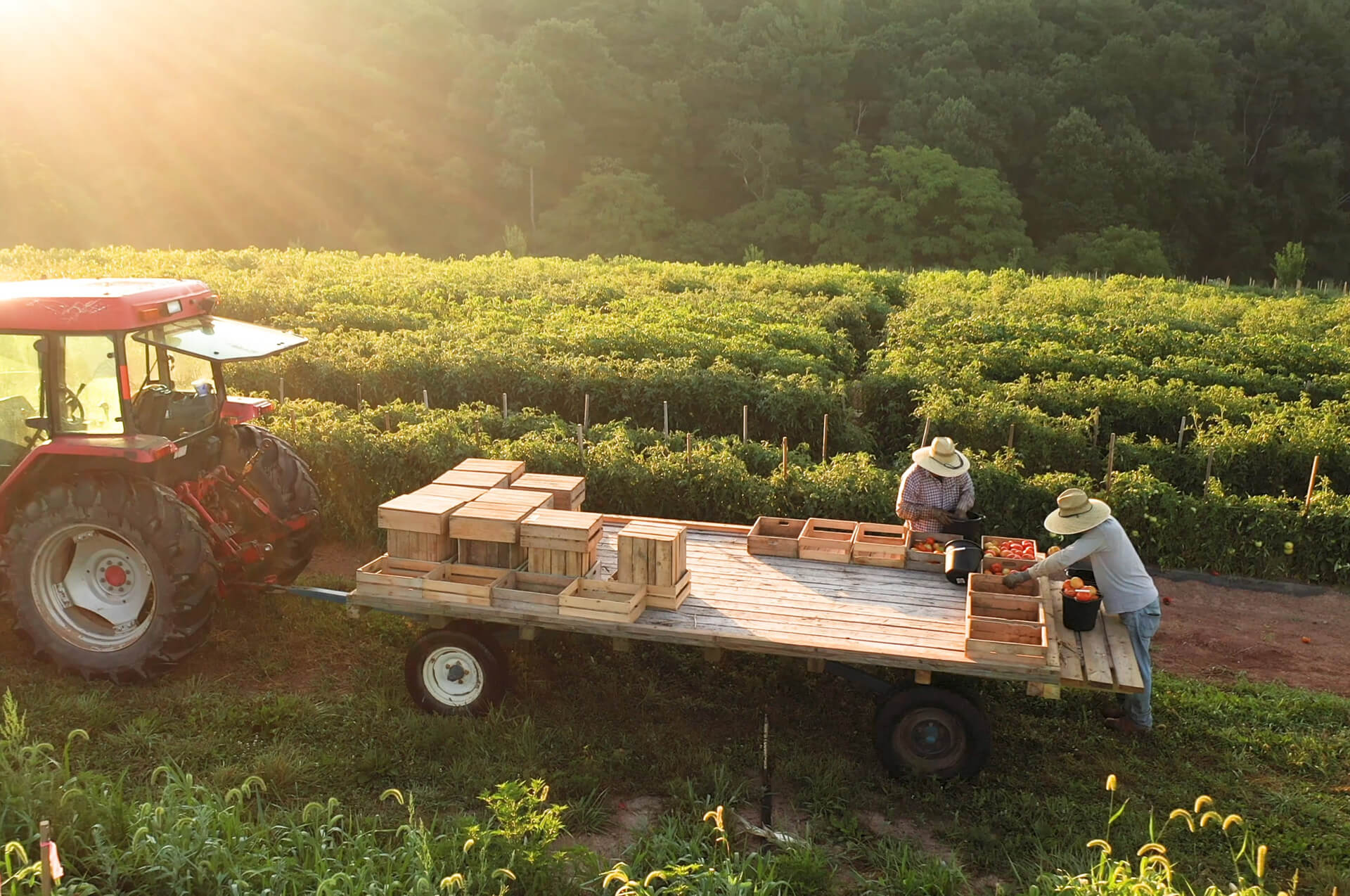 5ddd044294d090786715d6596102f335-1 (1).jpg